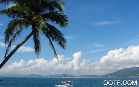 海南plusapp安卓版