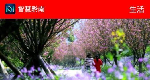 智慧黔南移动门户安卓版