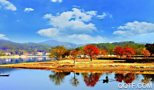 玩转罗田app安卓版