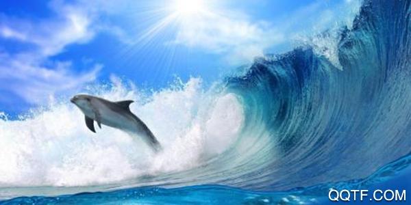 爱动漫壁纸app免费版