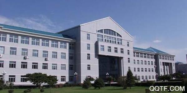 沈阳大学校园卡app手机版