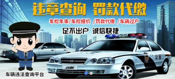 仨文违章查询平台