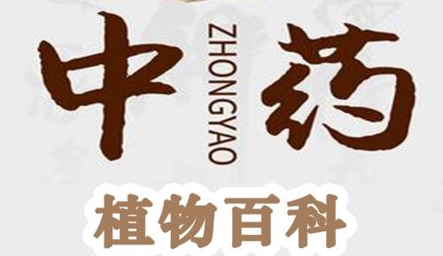 中药植物百科全书app安卓版