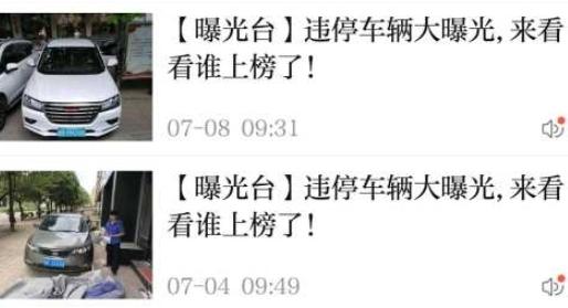 诗画开阳app投票最新版