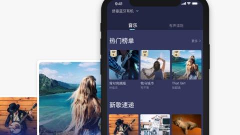 小京鱼app官方版