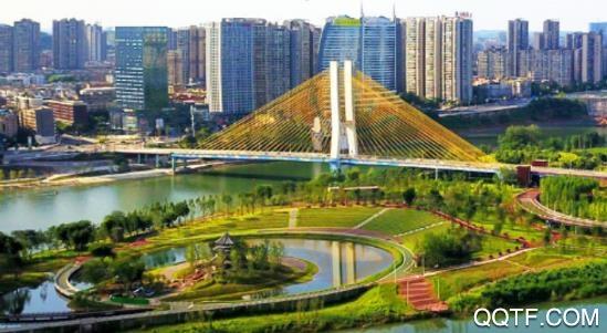 大美仪陇(南充见)客户端