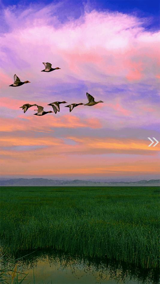 博湖好地方app最新版截图0