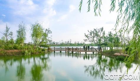 掌上肥乡手机台