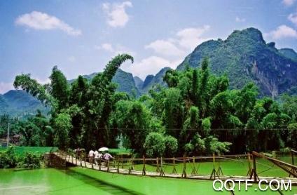 掌中罗甸app安卓版