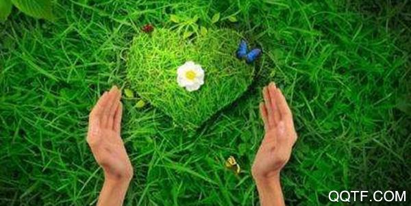 海豚心理咨询app免费版