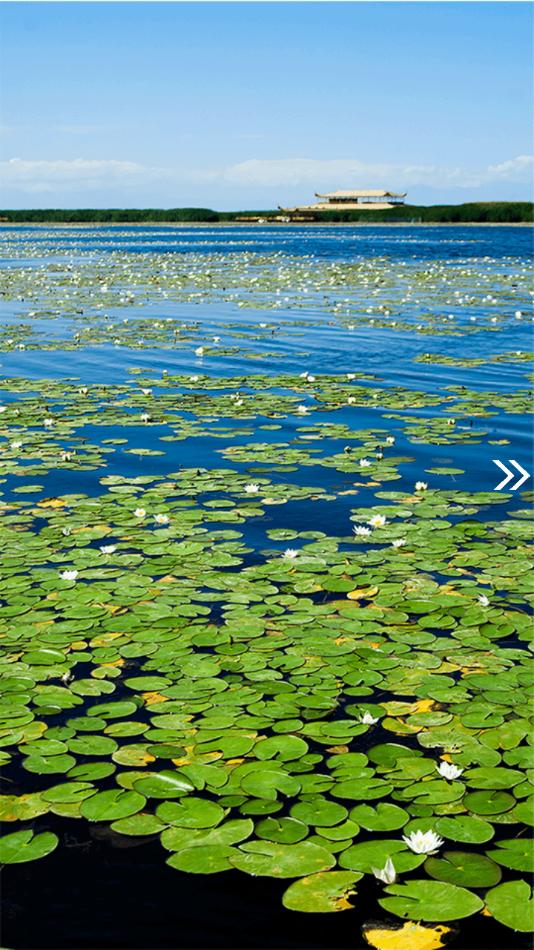 博湖好地方app最新版截图2