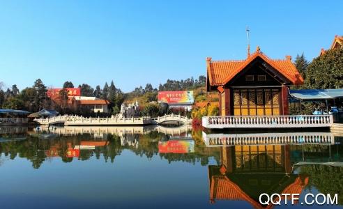 昆明餐饮安心码app手机版