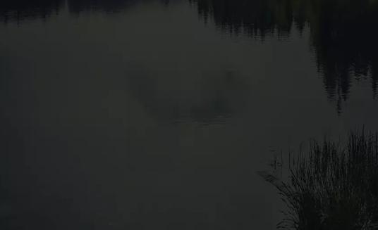 何时钓鱼app手机版