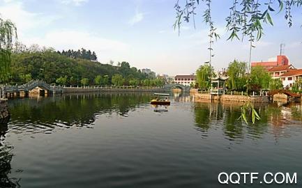 宁阳文明实践云app安卓版