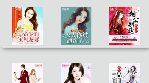 书橱小说免费版