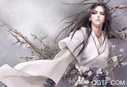 书荒阅读器手机版