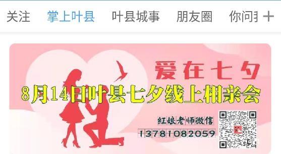 掌上叶县新闻app