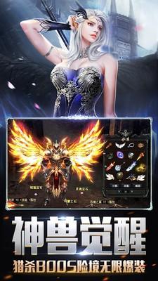 调皮的蜘蛛安卓版截图3