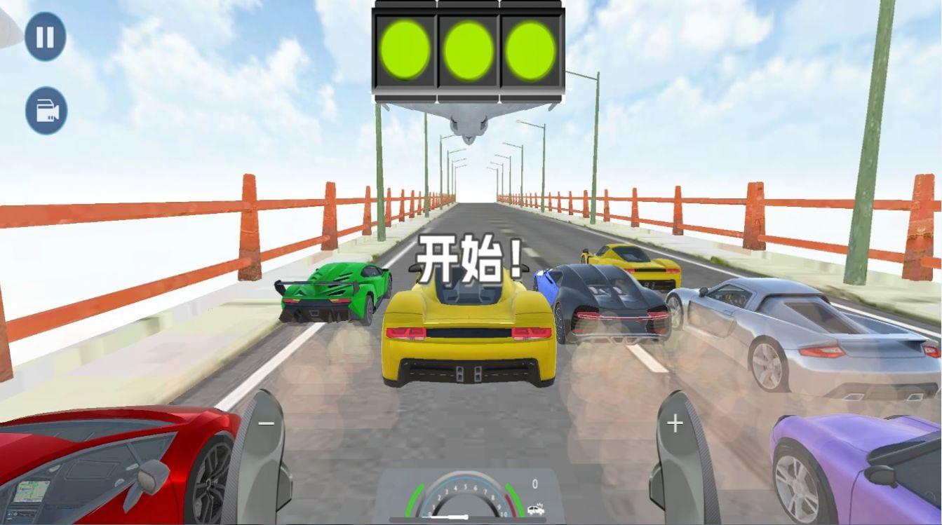 疯狂减速带游戏截图0