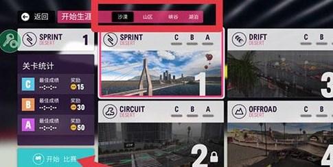 拉力地平线汉化版