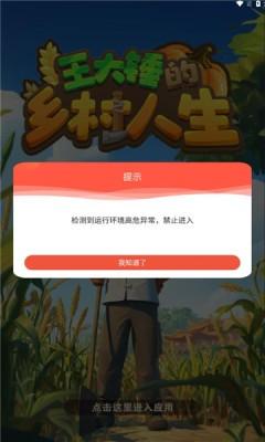 王大锤的乡村人生截图1