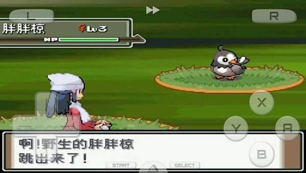 口袋妖怪白金版