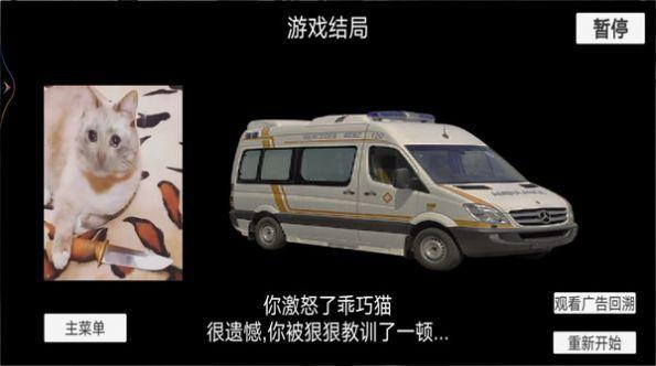 猫猫惊魂夜截图0