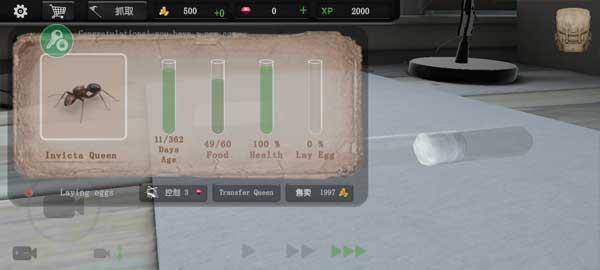 蚂蚁模拟大亨内置菜单