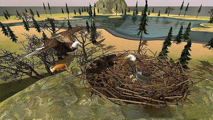 猎鹰模拟器3d截图2