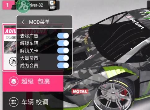 拉力地平线汉化版