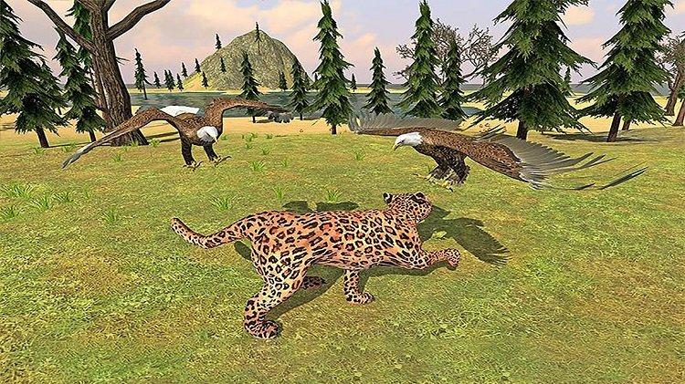 猎鹰模拟器3d截图3