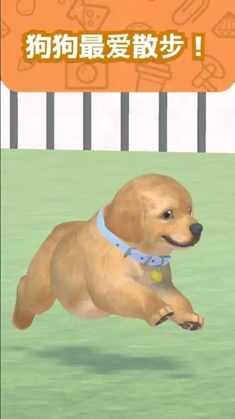 我和狗狗截图2
