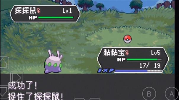 口袋妖怪龙之石3截图2