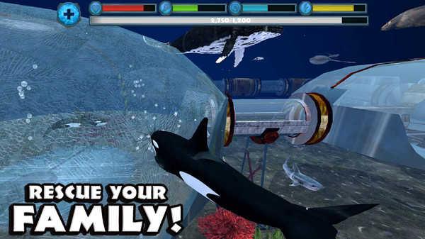 虎鲸模拟器无限经验版截图0