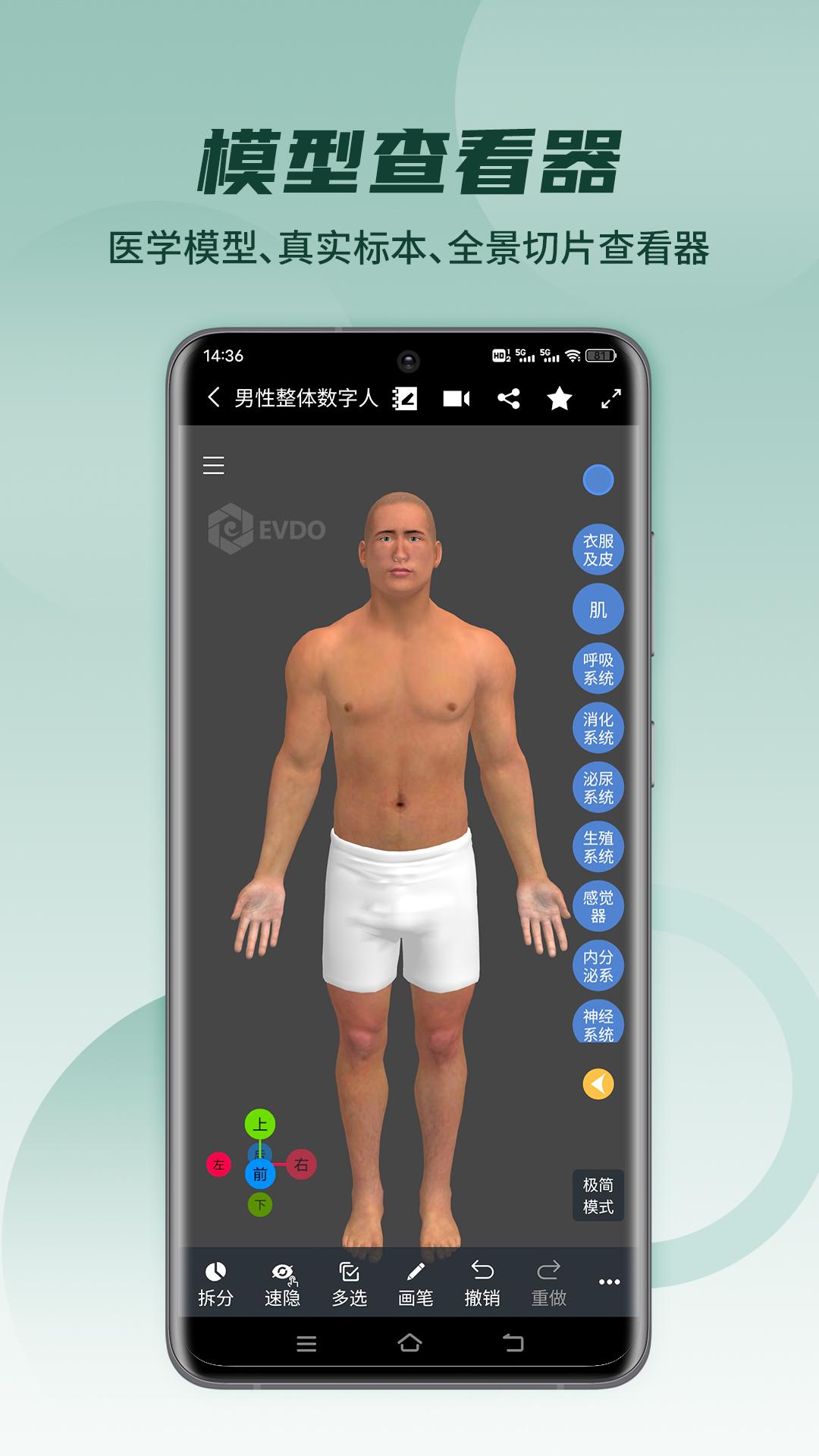 医维度解剖APP截图1