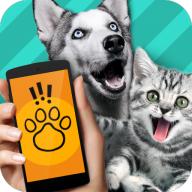鸟语翻译器app最新版下载(Pet Translator)