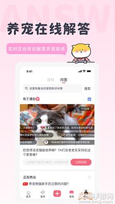 宠布丁线上商城app截图3