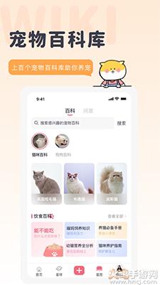 宠布丁线上商城app截图2