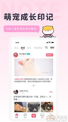 宠布丁线上商城app截图0