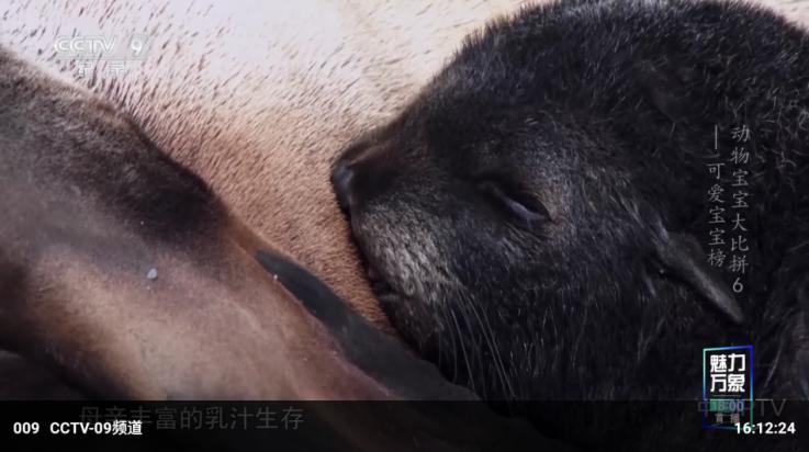 武则天tv电视版本下载截图2
