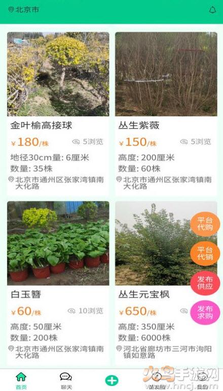 苗木人app安卓版截图2