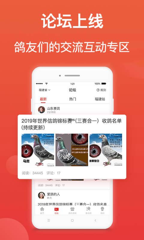 赛鸽头条下载安装截图1