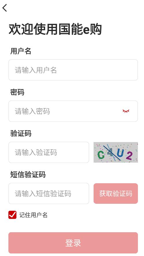 国能e购app截图0