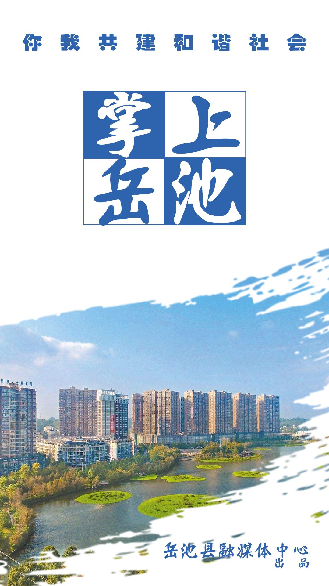 掌上岳池app手机版下载截图0