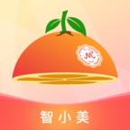 智小美app安卓版