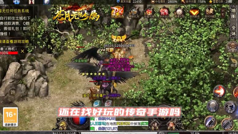 苍月无限专属 1.1.0安卓版截图1