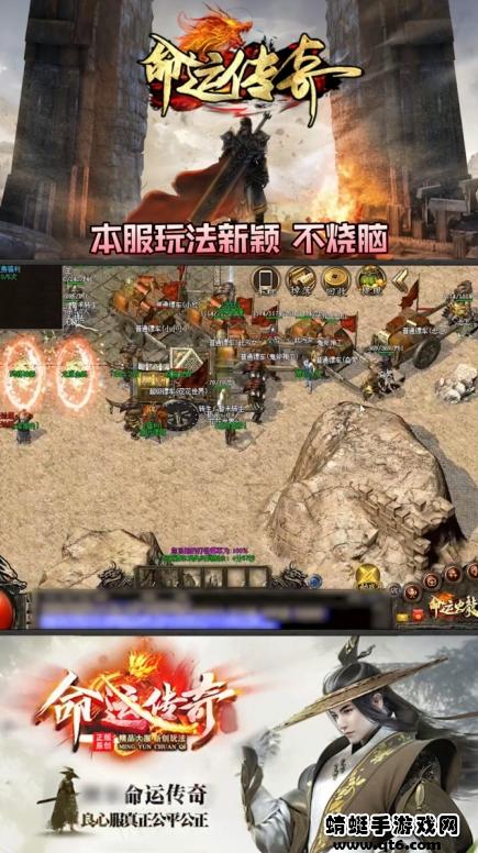 命运传奇 1.0安卓版截图3