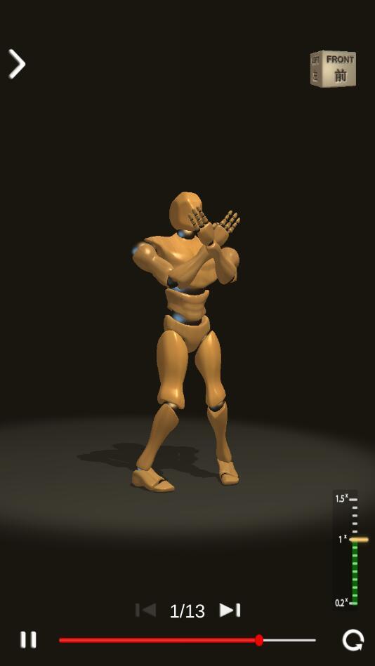 人偶咏春师傅破解版 153最新版截图3