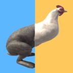 Switch the Animal(切换动物竞赛去广告版) 1破解版