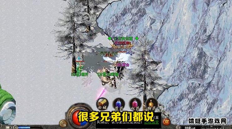 龙皇GM版游戏 1.1.0安卓版截图2